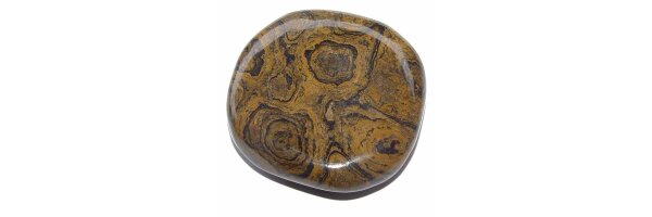 Stromatolith