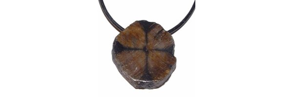 Chiastolith