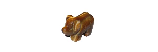 Schwein mittel