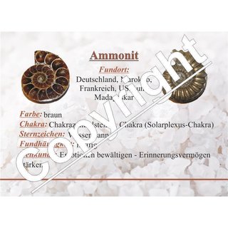 Ammonit Anhänger mit Bohrung ca. 35 x 30 mm mit schwarzem Textilband