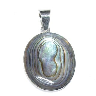Operculum (Shiva - Auge) mit Paua Shell Muschel 925er Silber Anhnger oval ca. 20 x 25 mm