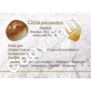 Citrin Perlmutt Perle Armband Edelstein elastisch