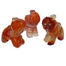 Carneol - Achat Elefant  ca. 22 x 30 mm Edelstein, Glücksbringer
