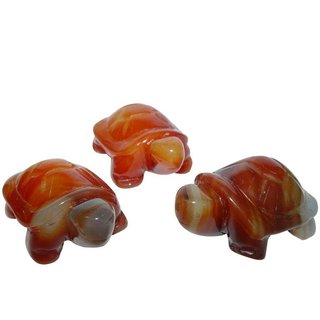 Carneol - Achat Schildkrte ca. 50 x 34 x 22 mm aus echtem Edelstein