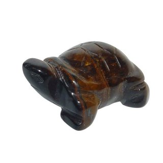 Tigerauge Schildkrte ca. 28 x 19 x 12 mm