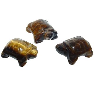 Tigerauge Schildkrte ca. 28 x 19 x 12 mm