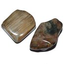 Versteinertes Holz Trommelstein ca. 30 - 40 mm...