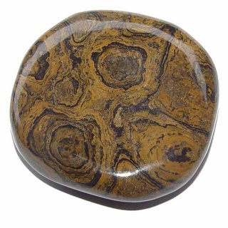 Stromatolith Trommelstein Handschmeichler ca. 35 - 45 mm
