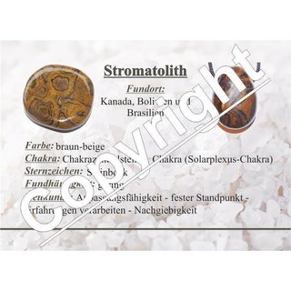 Stromatolith Trommelstein Handschmeichler ca. 35 - 45 mm