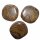 Stromatolith Trommelstein Handschmeichler ca. 35 - 45 mm