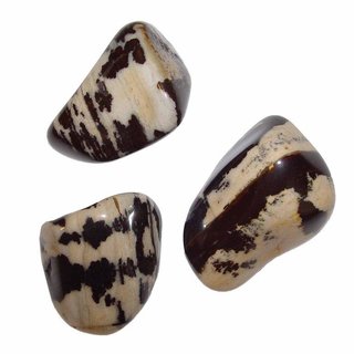 Zebra Jaspis Trommelstein XL ca. 40-50 mm Gewicht ca.40-50 g Handschmeichler Bunt Jaspis