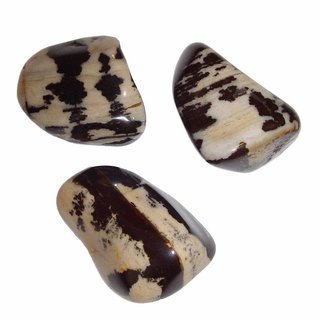 Zebra Jaspis Trommelstein ca. 30-40 mm Gewicht ca.30-40 g Handschmeichler Bunt Jaspis