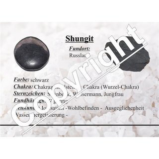 Shungit / Schungit Anhnger flacher Trommelstein ca. 30 x 20 mm mit Bohrung 2,5 mm