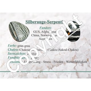 Silberauge / Serpentin gebohrt als Anhänger schöne Farbe und Maserung ca. 25 x20x12 mm