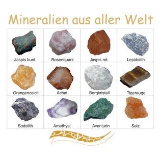 Mineralien Rohsteine Edelsteine Sammlung 12 Stück einzeln benannt z.B. Rosenquarz Amethyst Bergkristall u.a.