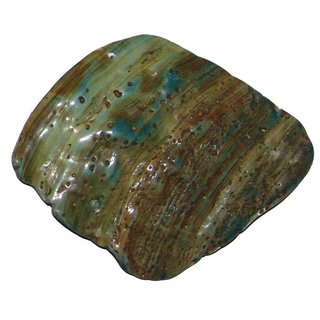 Paua Shell Muschel Stück Seeopal 40 - 80 mm mit herrlichem blauem Farbspiel