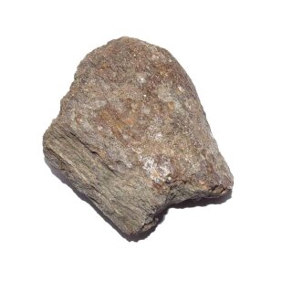 Mammut Knochen versteinert von Wollhaarmammut aus der Zeit des Pleitozän über...