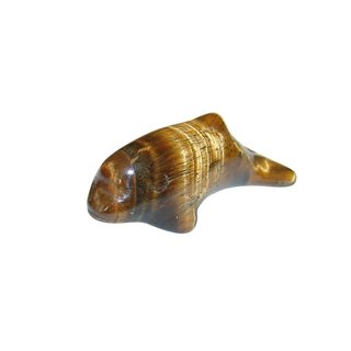 Tigerauge Delfin / Delphin  ca. 40  mm