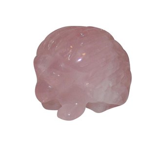 Rosenquarz Igel ca. 50 x 40  mm schner kleiner Glcksbringer