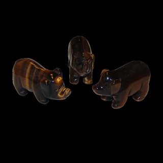 Tigerauge Schwein - Glcksschwein  ca. 50 x 30 mm