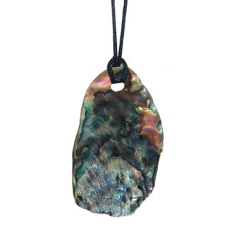 Paua Shell Perlmutt XL Anhnger gebohrt  ca. 50 - 70  mm