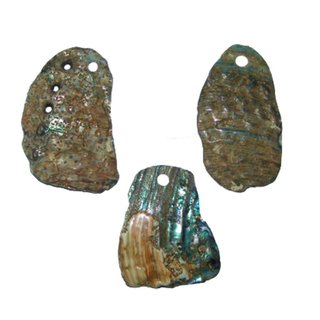 Paua Shell Perlmutt XL Anhnger gebohrt  ca. 50 - 70  mm