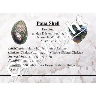 Paua Shell Perlmutt XL Anhänger gebohrt  ca. 50 - 70  mm