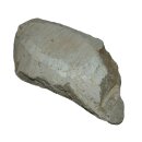 Speckstein Rohling Rohstein grau - braun zum modelieren ca. 4 - 6  kg, ca. 25 - 30 cm