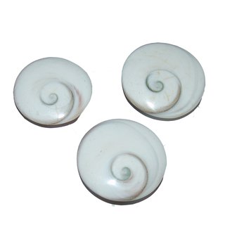 Operculum Shivas - Auge  flacher Handschmeichler ca. 35 - 40 mm