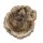 Baumscheibe versteinerte Holz Scheibe aus Madagaskar ca. 45 -55 mm ca. 150 Millionen Jahre