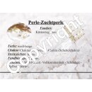 Muschelkern Perlen Kugel Armband 10 mm silberfarben auf...