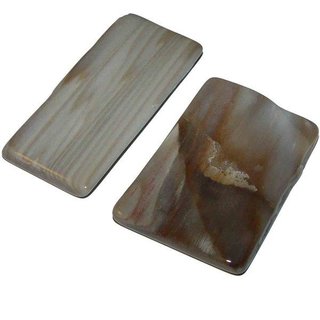 Holz versteinert polierte flache Scheiben ca. 45 - 55 mm schöne Erdfarben  1 Stück