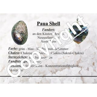 Paua Shell Muschel Anhnger rund  ca. 50 mm super blau grner lila Schimmer / Farbspiel