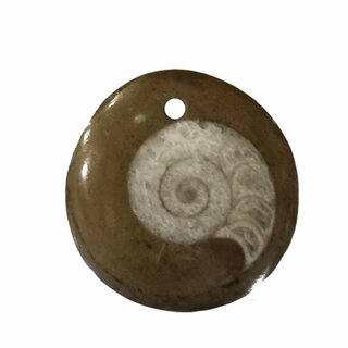 Ammonit in Matrix Anhänger rund flach ca. 30 - 40 mm mit Bohrung ca. 2 mm mit schwarzem Textilband
