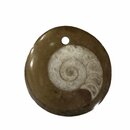 Ammonit in Matrix Anhänger rund flach ca. 30 - 40 mm mit...