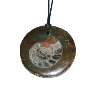 Ammonit in Matrix Anhänger  ca. 40 - 50 mm mit Bohrung ca. 2 mm mit schwarzem Textilband