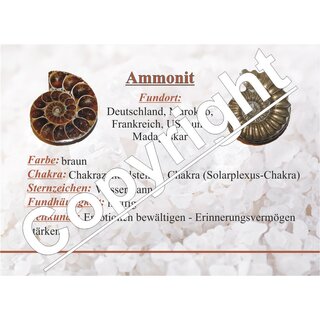 Ammonit in Matrix Anhnger  ca. 40 - 50 mm mit Bohrung ca. 2 mm mit schwarzem Textilband