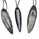Orthoceras Fisch versteinert gebohrt mit Band als...