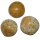 Seeigel versteinert Fossil aus Madagaskar Größe S ca. 30 - 40 mm