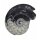 Goniatit versteinertes Fossil (Ammonit) fossiles Gehäuse eines Kopffüßlers ca. 30-40mm