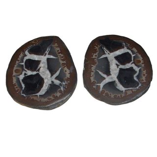 Septarie Paar aufgeschnittene Geode mit interessanter Zeichnung Größe S: ca. 25-30 mm