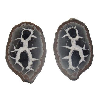 Septarie Paar aufgeschnittene Geode mit interessanter Zeichnung Größe S: ca. 25-30 mm